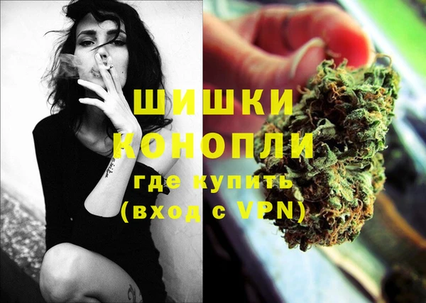 дмт Няндома