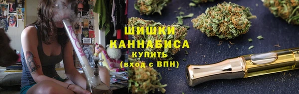 ГАЛЛЮЦИНОГЕННЫЕ ГРИБЫ Нязепетровск