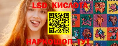 прущие грибы Абакан