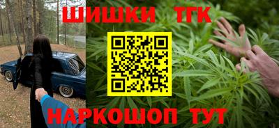 прущие грибы Абакан