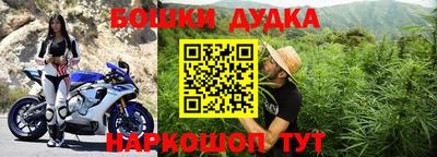 прущие грибы Абакан