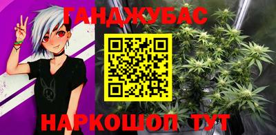 прущие грибы Абакан